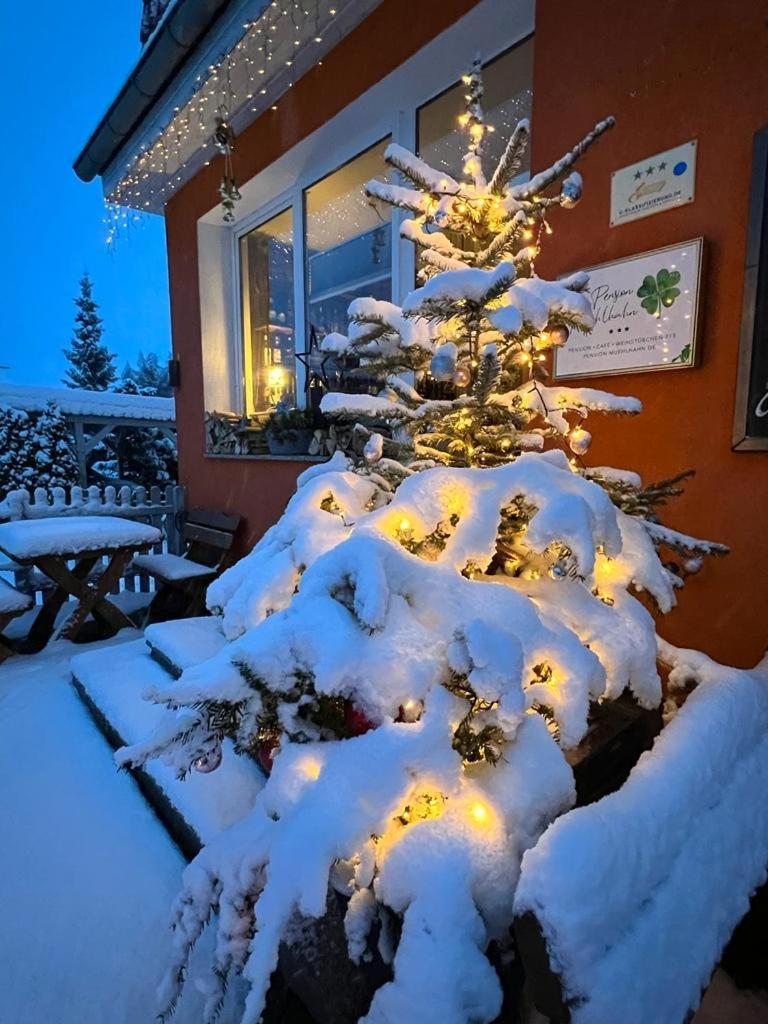 Pension Mühlhahn Schierke Exterior foto
